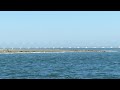 Zeilen,  Oosterschelde, zeehonden