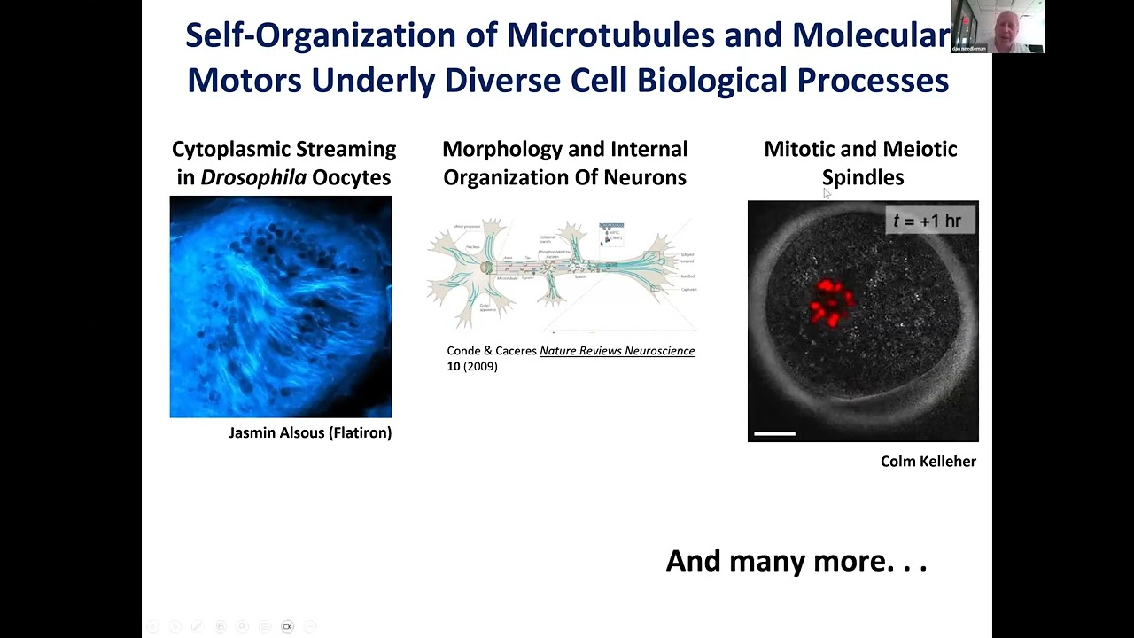 Dan Needleman: Tutorial - Active Matter, Microtubules and Cell Division