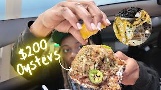 (funny vlog) $200 OYSTERS! Food Review   Buffalo Chicken Cheese Bread