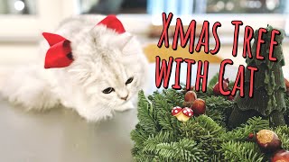 How to Christmas Tree with kitten - good and bad things for cats by Cat Mop 234 views 3 years ago 4 minutes, 2 seconds