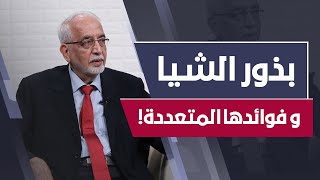 فوائد بذور الشيا المتعددة و تأثيرها العجيب على التخسيس