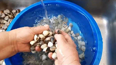 Como tirar o marisco da concha?