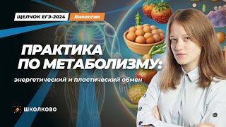 ЩЕЛЧОК к ЕГЭ 2024 по биологии | Практика по метаболизму: энергетический и пластический обмены