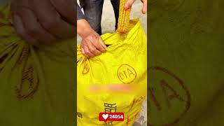 Corn Bag Tying Hack 🌽✨! Grain Storage Made Easy ✅🏠