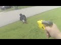 Bodycam: Officers Justified In Beating Fleeing, Resisting Suspect.