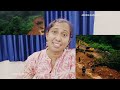 Kinetic Energy #Physics # 9th Std #English medium # simple malayalam explanation #scert Kerala