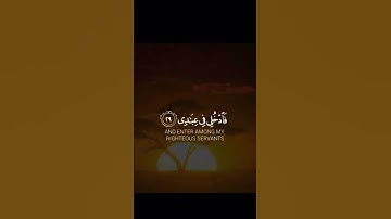 سورة الفجر بتلاوة الشيخ خالد الجليل #islam #قران_كريم #سورة_الفجر #الشيخ_خالد_الجليل #عرب #fyp