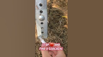STOP and find a geocache with me! #shorts