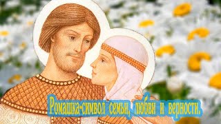 Ромашка символ семьи, любви и верности .