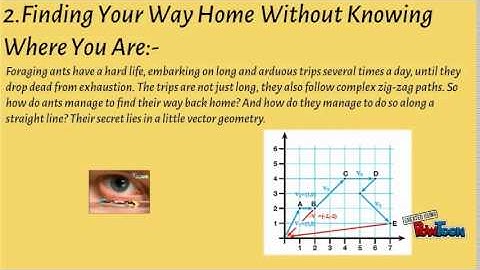 application of vectors