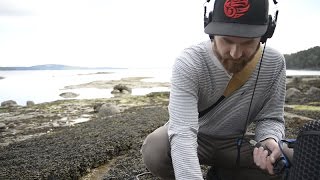 Inside The Gallery: Part 7 "Sound Design"