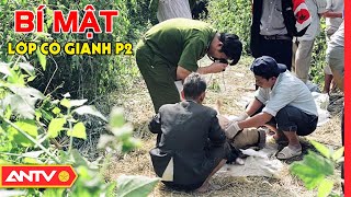 Secret Under the Thatch Grass (Part 2): Bestial Neighbor Exposed | Case File | ANTV
