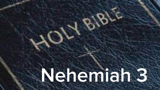 Nehemiah 3 (NIV) The Audio Bible