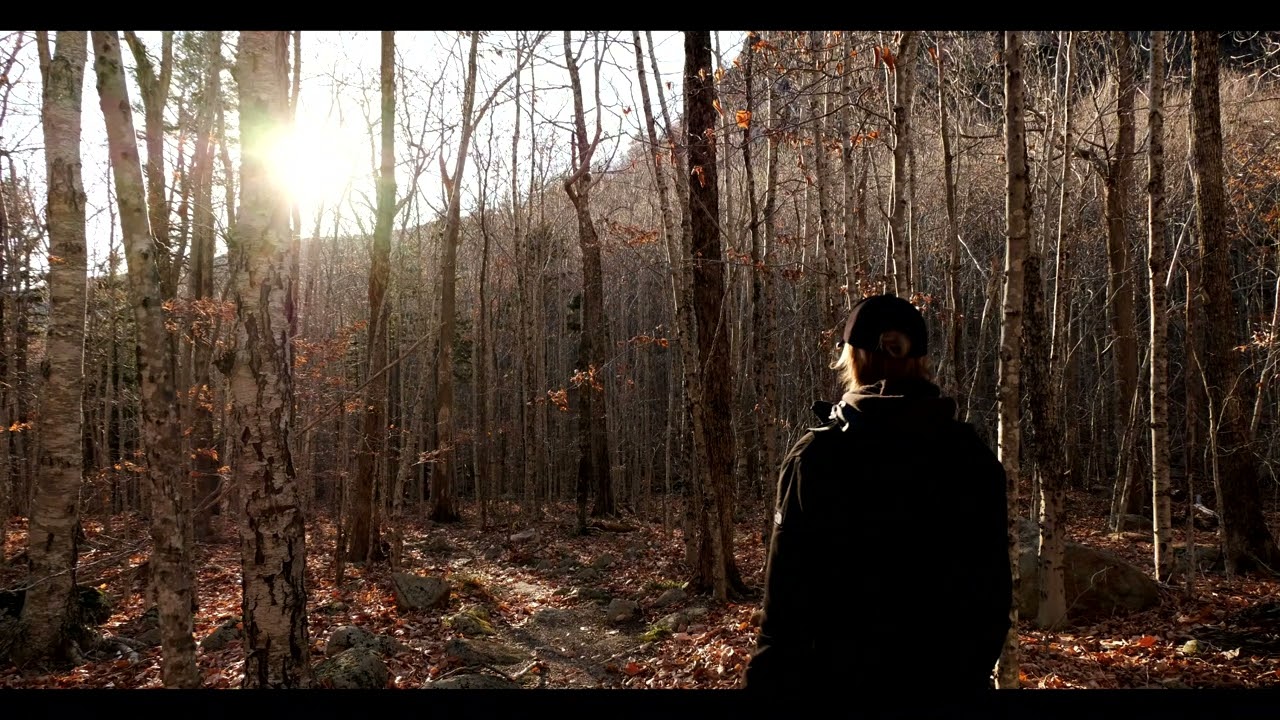 Almost American - 'April Fields' | Freespirited