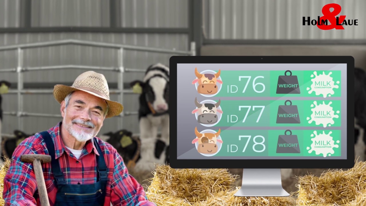 Automatic Calf Feeder Hl 100 Weightscales English Youtube