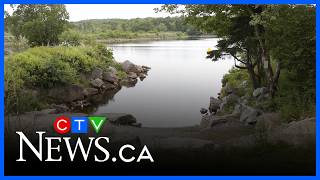 Human remains found in Halifax