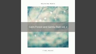 The Soft Storm, Recharge, and Relax when All is Right screenshot 5