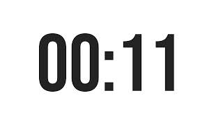 Fast 20 Second Timer | Clock Alarm