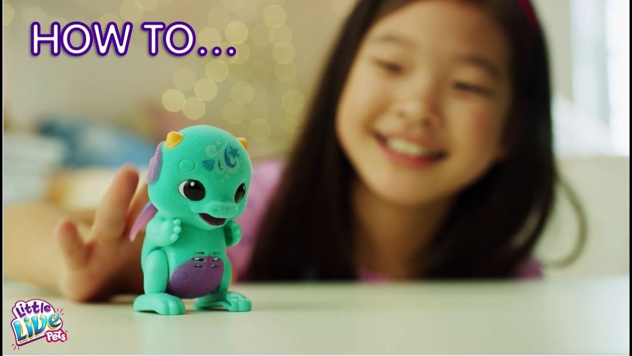 Little Live Pets S1 Surprise Dragon | How to Care & Play – KeyPetCare.com