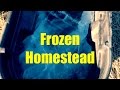 Frozen Homestead