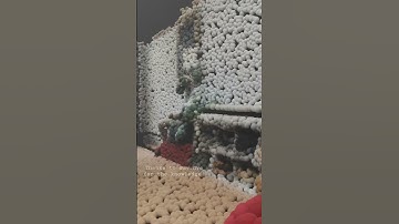 📽️ [1] - A Pointcloud process in blender geo nodes