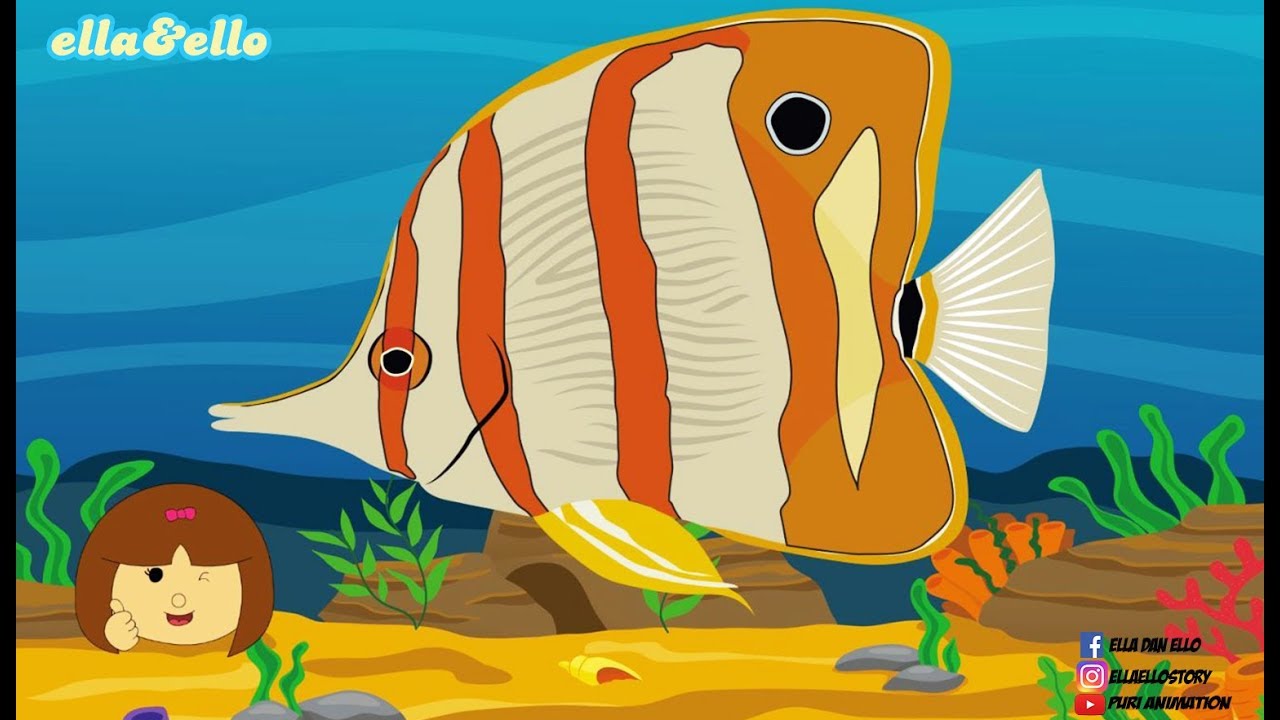99 Animasi Ikan Buntal Kartun Cikimmcom