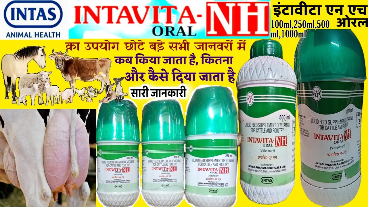 intavita nh intavita h uses in Hindi, vitamin h for cow, vitamin h for