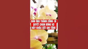 Đàn Ông Muốn Lập Nghiệp Thành Công, Hãy Khắc Cốt Ghi Tâm