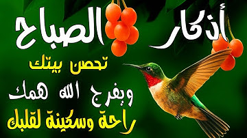 اذكار الصباح بصوت يريح قلبك راحه نفسيه💚حصن نفسك وبيتك من الشيطان   القارئ علاء عقل Morning adhkar