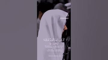 تلاوة خاشعة من سورة العنكبوت بصوت القاري رعد الكردي رمضان ١٤٤٤