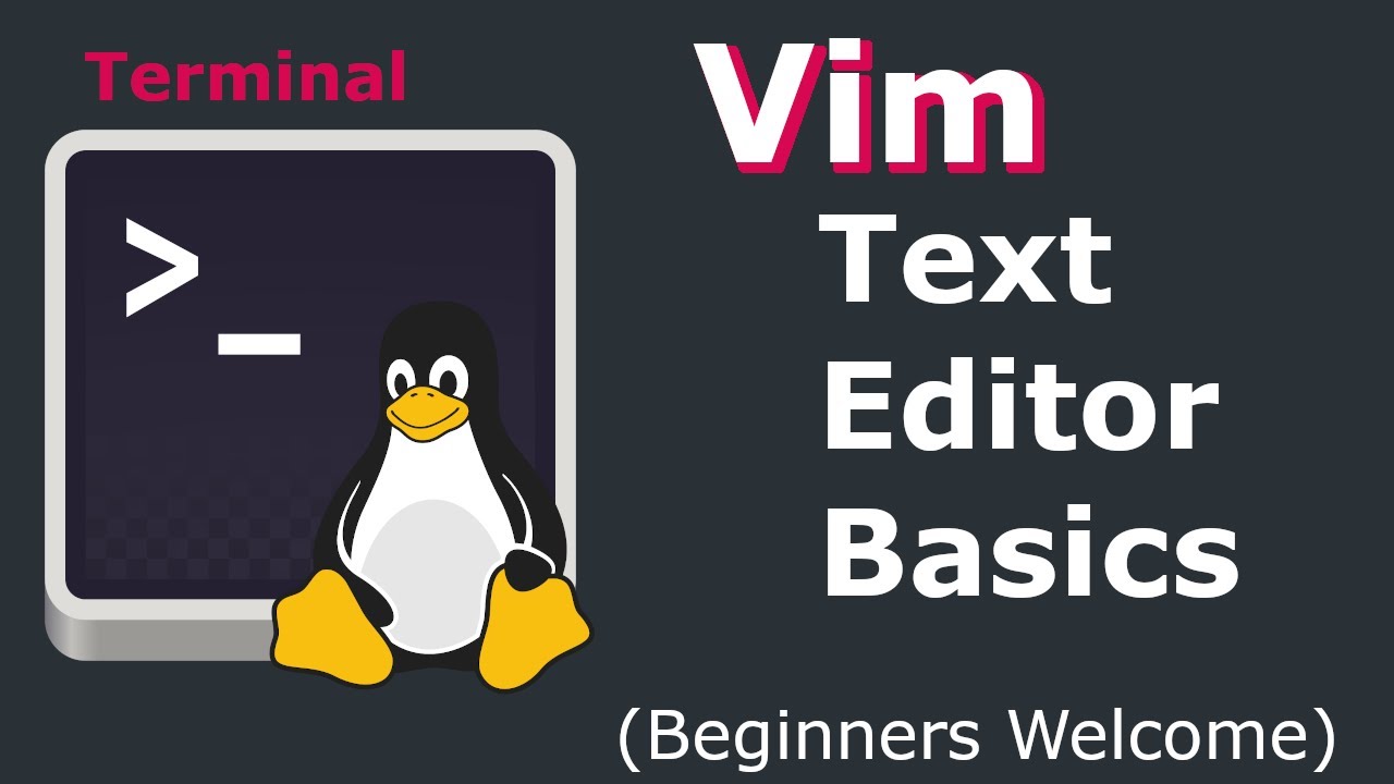 Vim Text Editor Basics - How to Use Vim on Linux / Mac / Unix (Beginners Guide on Ubuntu 20.04)