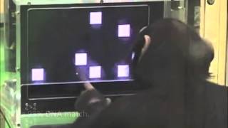 Book trailer for A BEAUTIFUL TRUTH by Colin McAdam