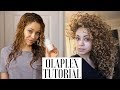 My Olaplex Tutorial | Curly Hair