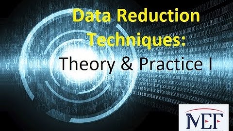 Data Reduction Techniques:Theory & Practice I