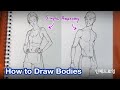 How to Draw Body with Simple Anatomy (Drawing Practice)