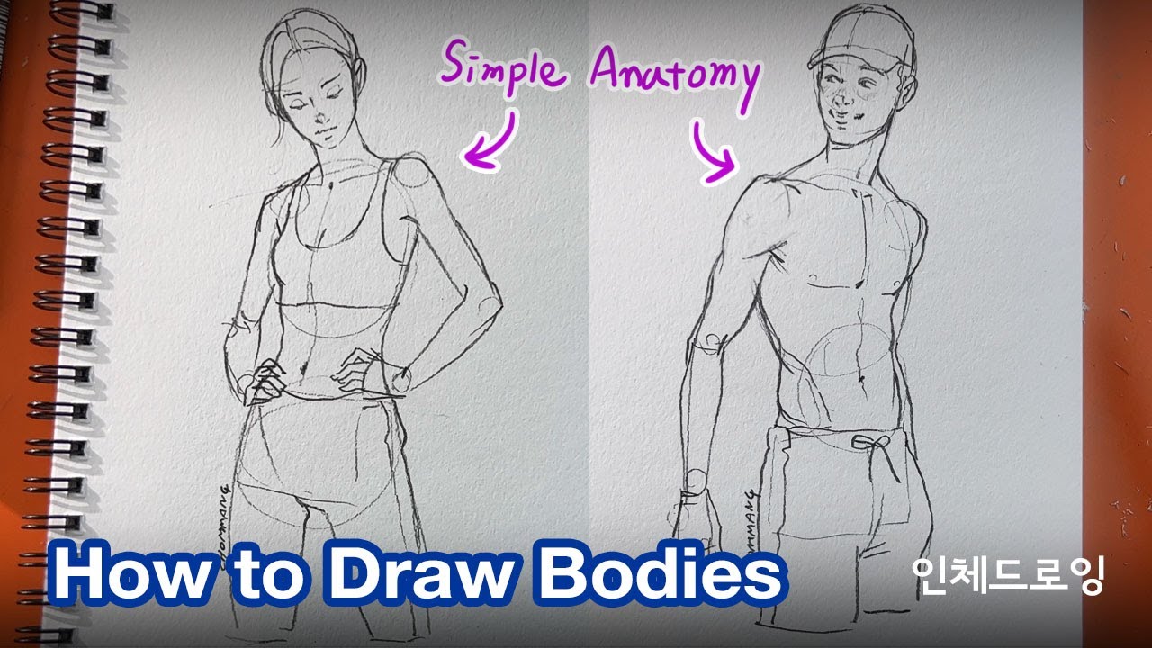 How to Draw Body with Simple Anatomy (Drawing Practice) - YouTube