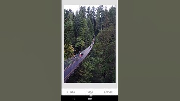 Moody Jungle Green Look in Snapseed