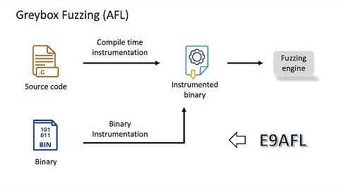 demo of E9afl: a Scalable Fuzzing of Program Binaries