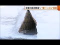 除雪の負担軽減へ“雪トンネル”設置！玄関と道路つなぐトンネルの開発進む「1時間半かかっていた除雪作業が5分に」新潟 (26/02/05 19:19)