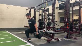 Dumbbell RFESS (Rear Foot Elevated Split Squat)