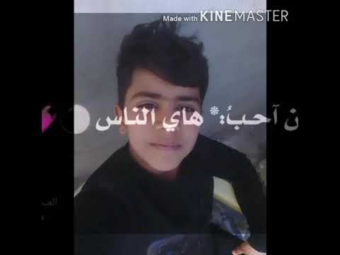 مصطفى اني