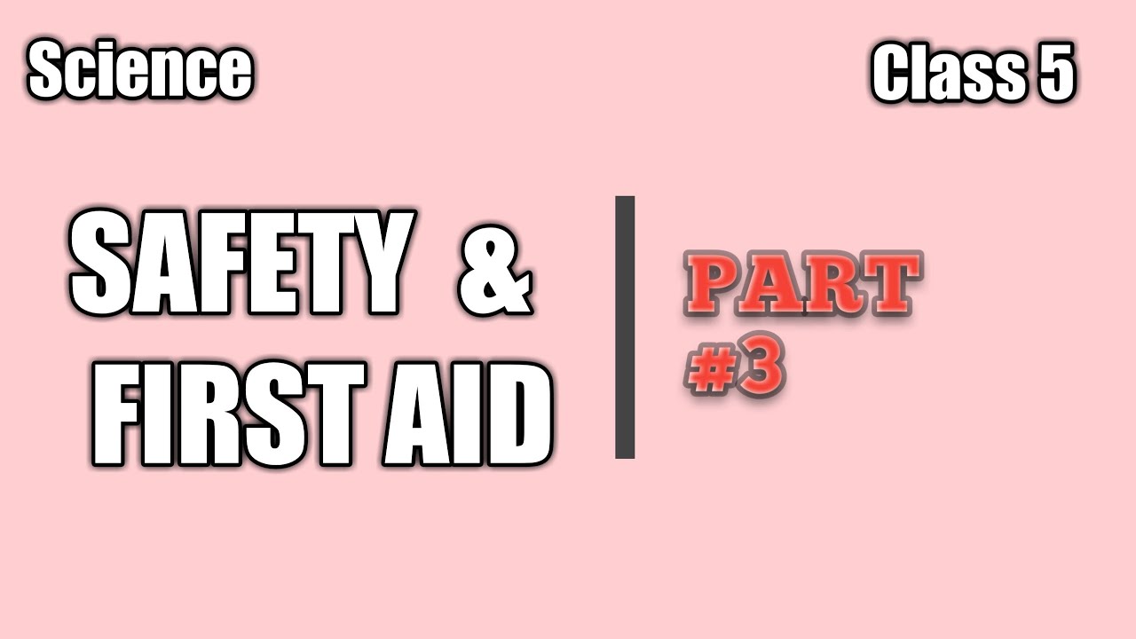 Class 5 Safety and First Aid Part 3 YouTube