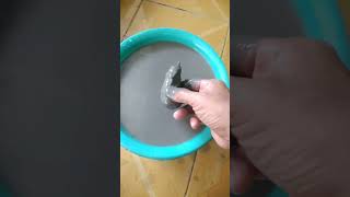 terong durian mini