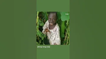 Tenge Tenge Day 1 Comedia Funny Meme Memes Funniest Teng Teng Youtubeshorts Viral Shorts 