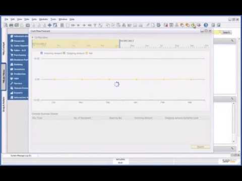 Cashflow Forecast Demo SAP HANA