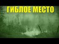 ДЕД 100 ЛЕТ В ТАЙГЕ ГИБЛОЕ МЕСТО НОЧНОЙ ВИЗИТ на БОЛОТО ТОПЬ РЫБАЛКА ЖИЗНЬ В ЛЕСУ ИЗБУШКА ЛЕСНИКА