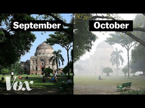 Video: Vrijeme i klima u Delhiju
