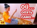 Алиса ПОЛАМАЛА ГиРлЯнДу / КАКОЙ ПОДАРОК Alisa Easy ХОЧЕТ на Новый Год? / Easy Rose