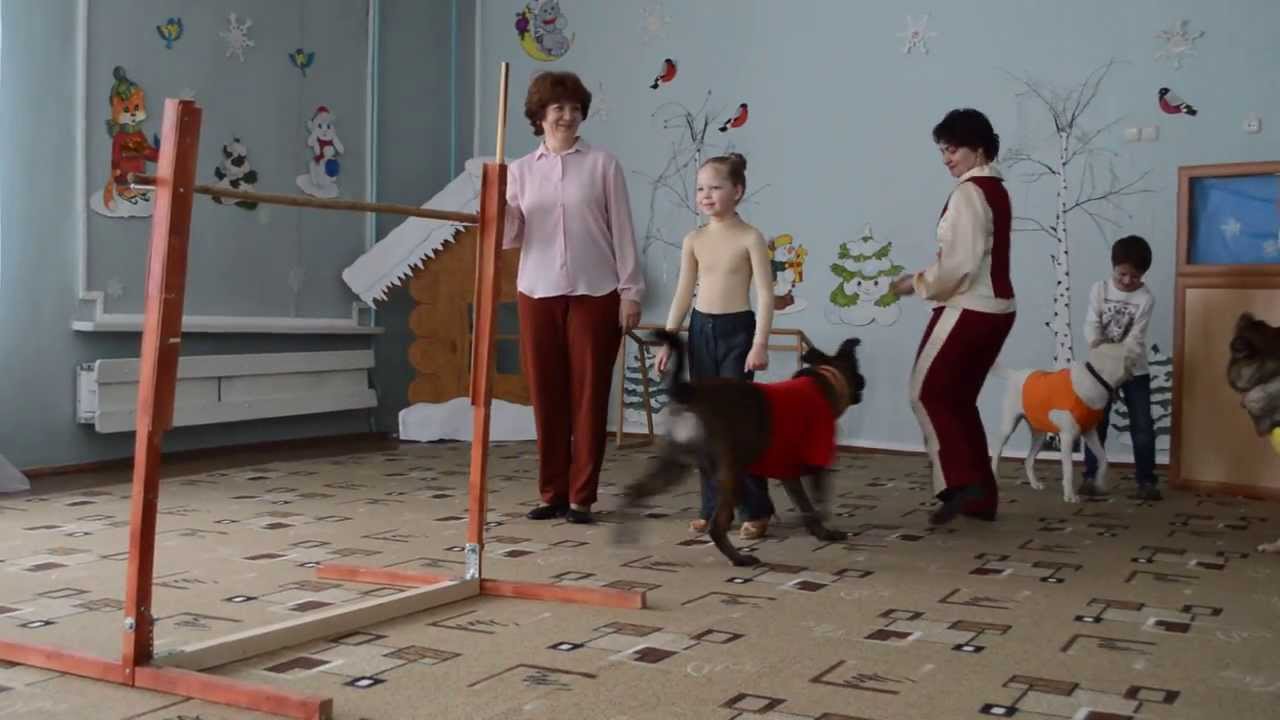 Младшая группа игровое упражнение дрессированная собачка. Дрессированные собаки на детский праздник.
