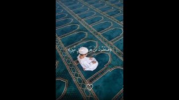 تلاوة خاشعة🎧🫀 تريح القلوب من القارئ هيثم الدخين🤍✨️ #قرآن #هيثم_الدخين #اذكرو_الله #صلوا_على_النبي